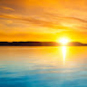 Meet your Posher, Amara